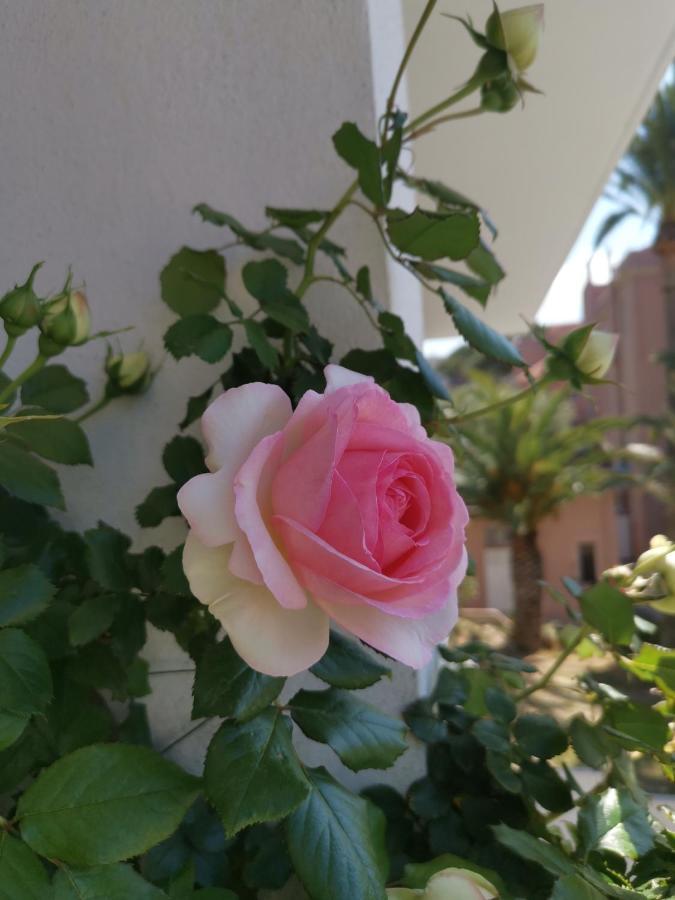 Apartmán Ofdl B T1 Bandol - Briotine Foyalais Exteriér fotografie